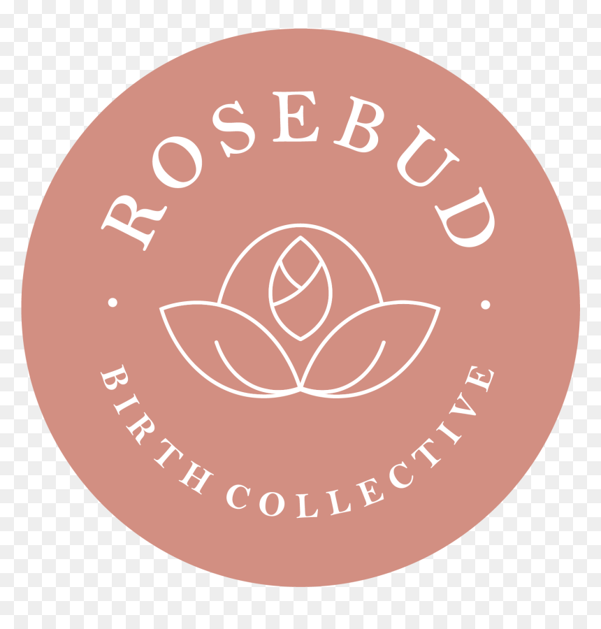Rosebud Birth Collective - Camera Icon, HD Png Download - rosebud png