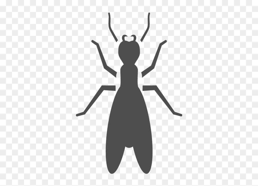 Termite - Ant, HD Png Download - termite png