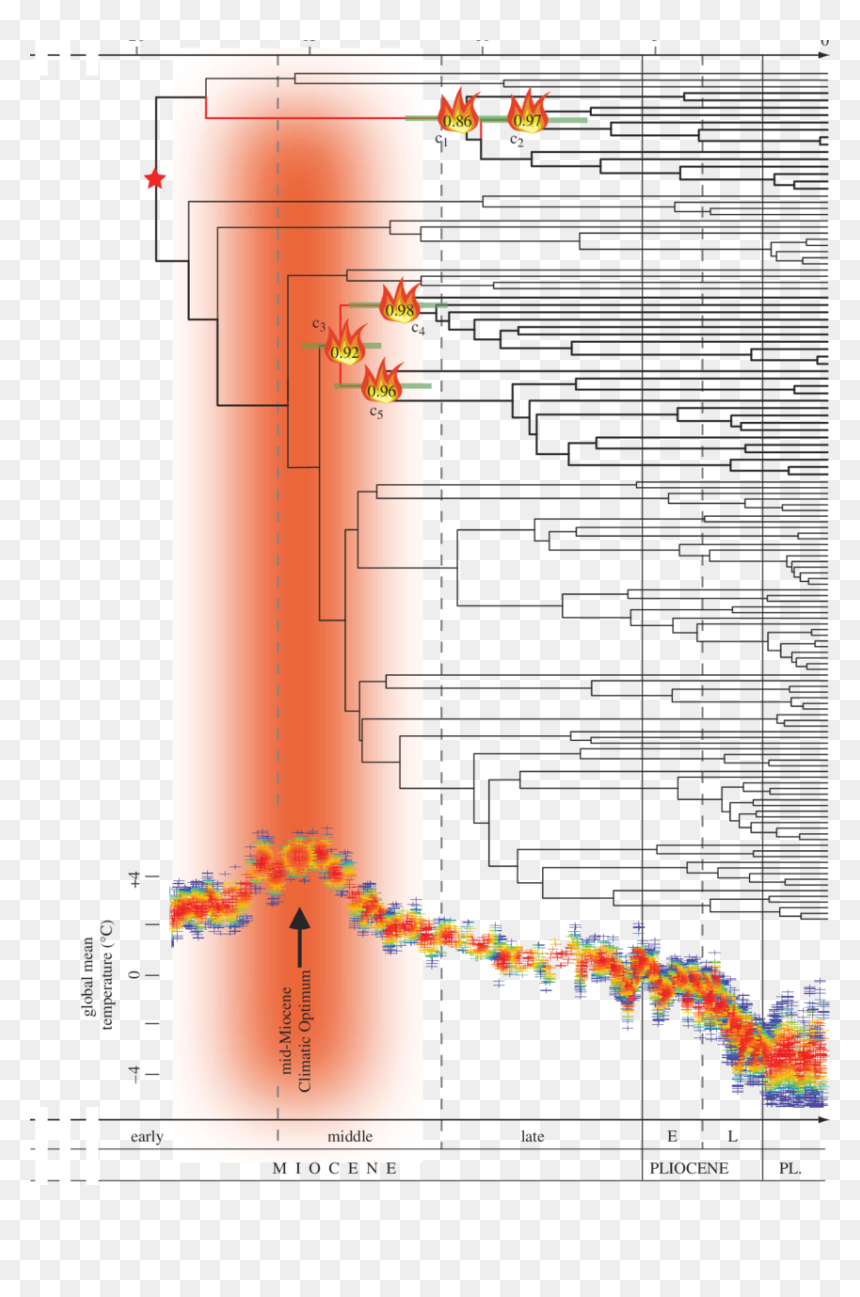 Diagram, HD Png Download - line of fire png