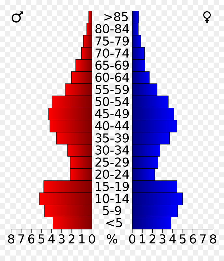 New York Age Pyramid, HD Png Download - rosebud png