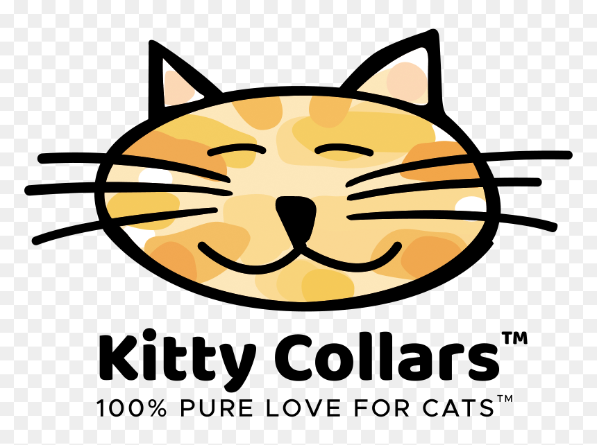 Kitty Collars Home - Domestic Short-haired Cat, HD Png Download - kitty cat png