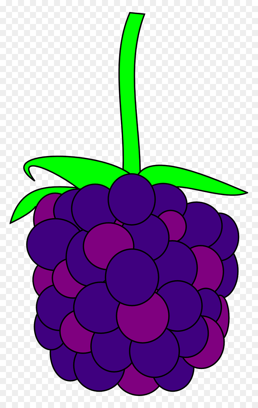 Violet Berry Clipart, HD Png Download - blackberry fruit png