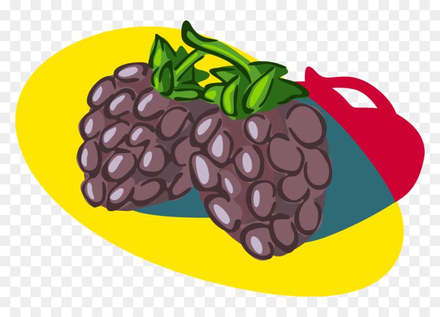Transparent Blackberry Fruit Png - Blackberry, Png Download - blackberry fruit png