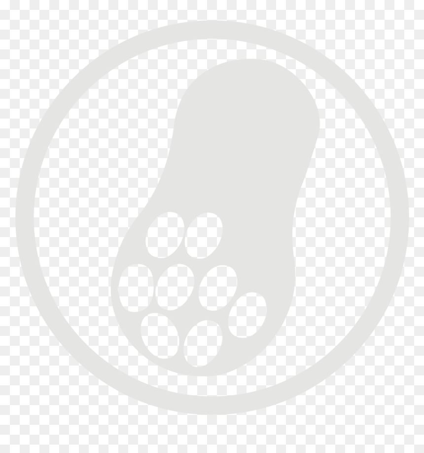 Peanut Allergy Grey Icon - Peanuts Allergy Symbol, HD Png Download - the peanuts movie png