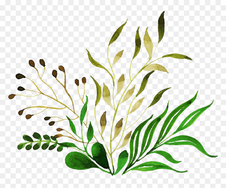 Illustration, HD Png Download - 123 png