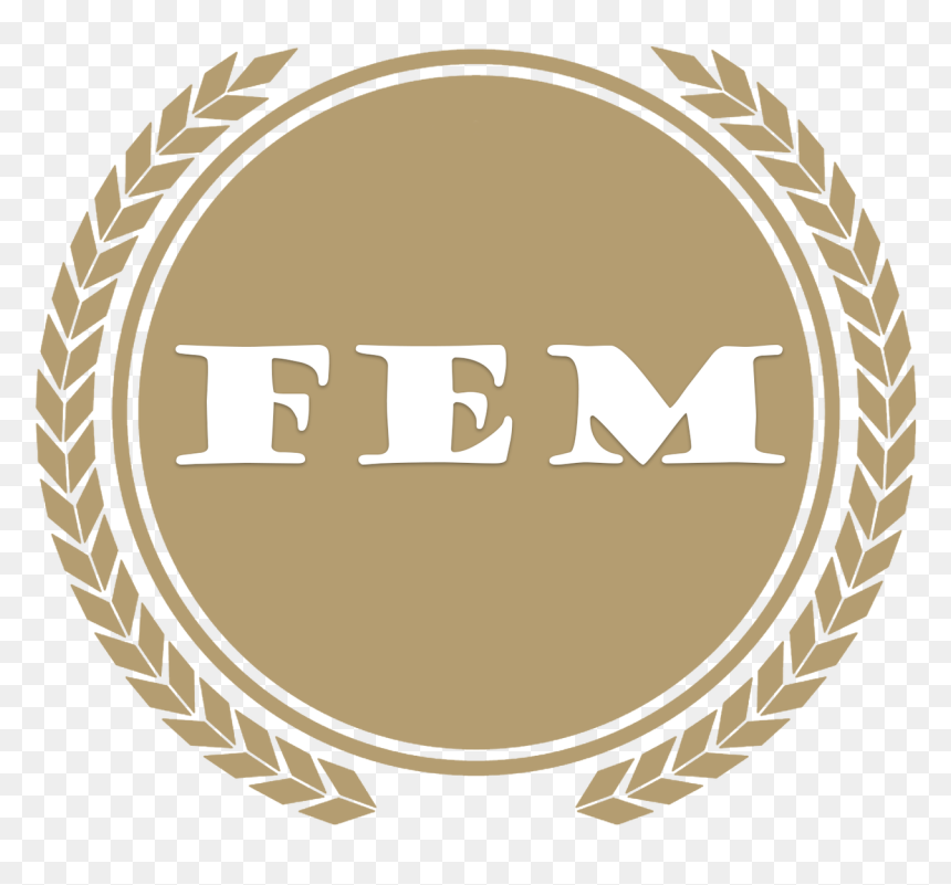 Fem Logo - 99 India News, HD Png Download - transamerica logo png