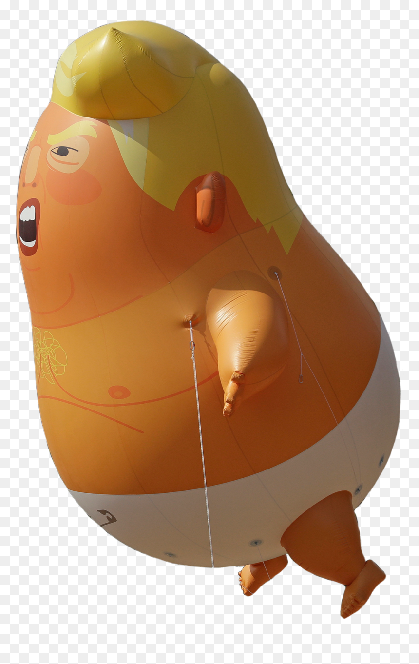 Animal, HD Png Download - trump cartoon png