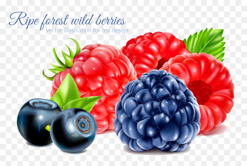 Frutti Di Bosco Raspberry Fruit, HD Png Download - blackberry fruit png