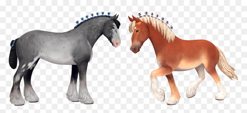Sso Horses, HD Png Download - baby horse png