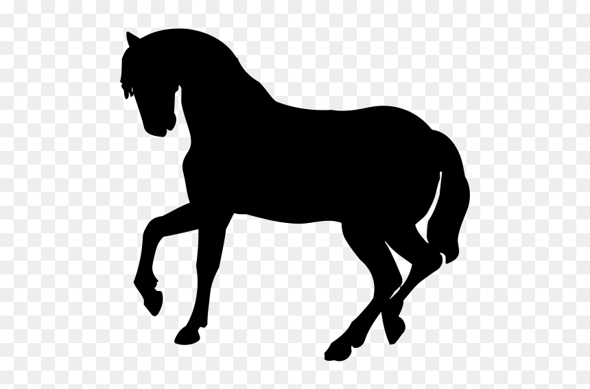 Horse Silhouette Dog Baby Jungle Animals Cat, HD Png Download - baby horse png