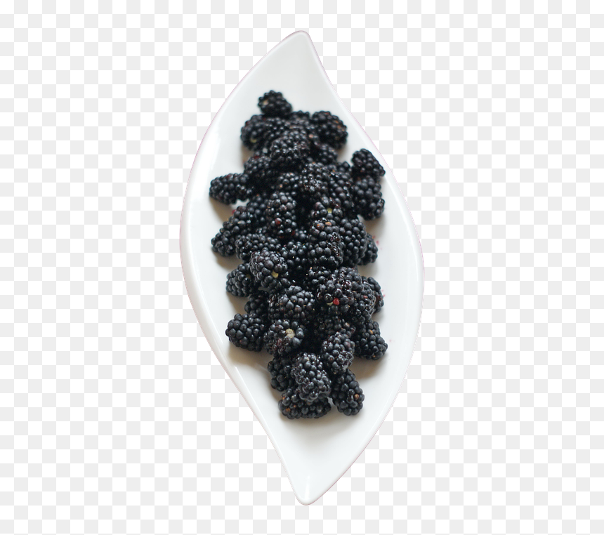 Berry, HD Png Download - blackberry fruit png