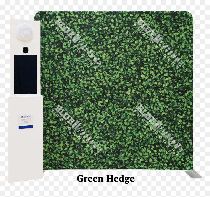 Hedge, HD Png Download - grass skirt png