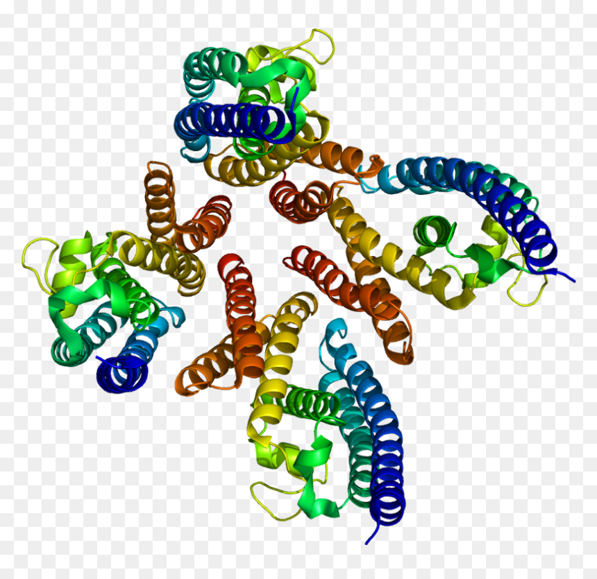Protein Tsn Pdb 1j1j - Protein, HD Png Download - c3p0 png