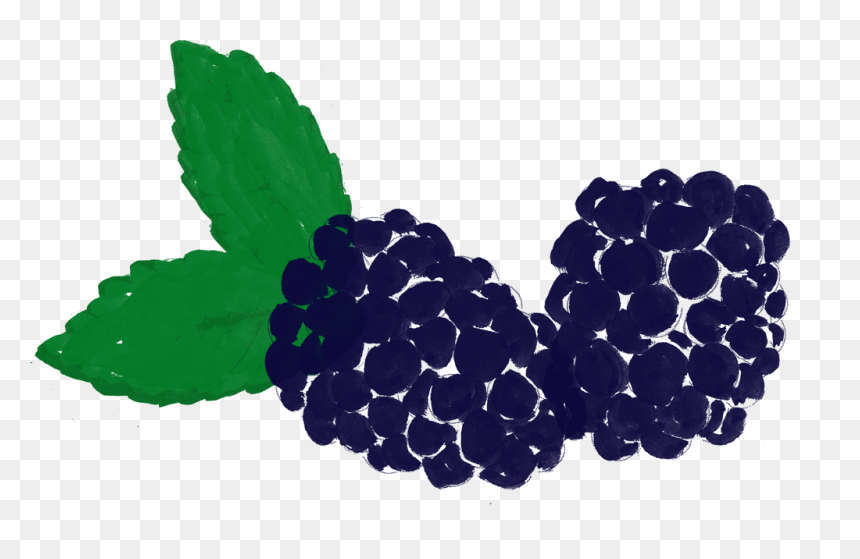 Seedless Fruit, HD Png Download - blackberry fruit png