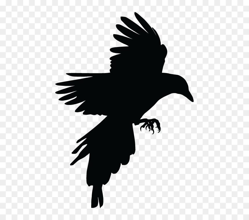 Transparent Flight Icon Png - Silhouette Magpie Png, Png Download - flight icon png
