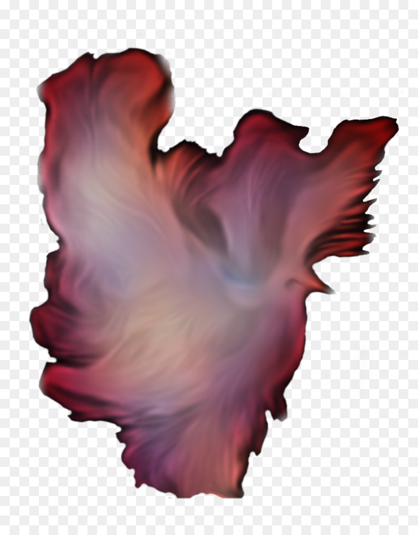 Dove Fantasy Flame Red Flight Clip Arts - Conch, HD Png Download - flight icon png