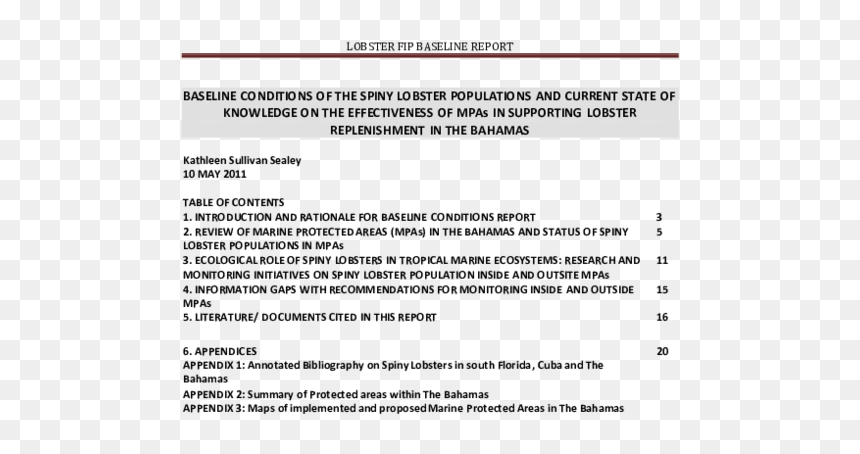 Screenshot, HD Png Download - outline of florida png