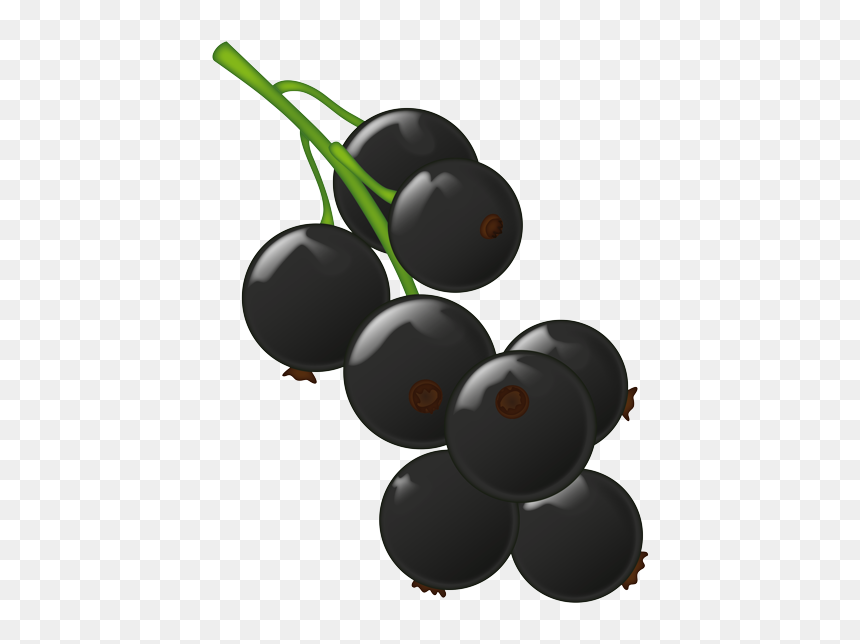 Grape, HD Png Download - fruit emoji png