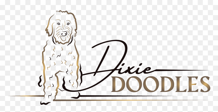 Cartoon, HD Png Download - png doodles