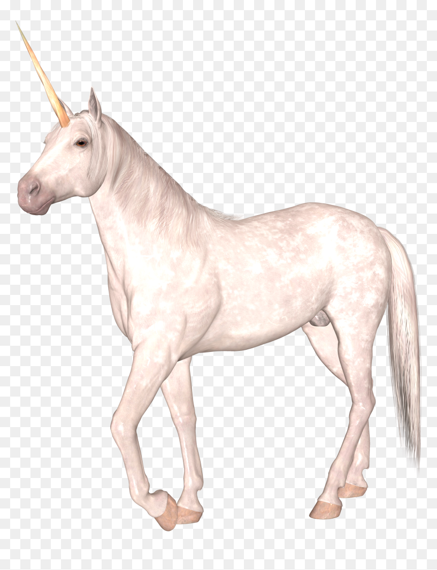 Unicorn, HD Png Download - unicorn .png