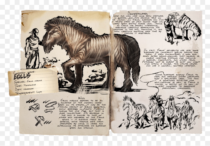 Stallion, HD Png Download - unicorn .png