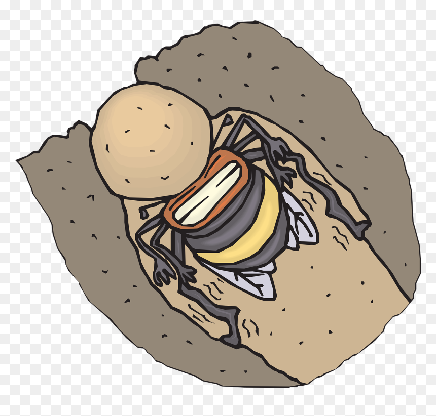 Honey Bee, HD Png Download - dirt flying png