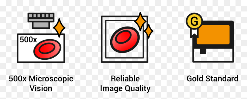 Icons Web Ai 1 - Circle, HD Png Download - ai icon png