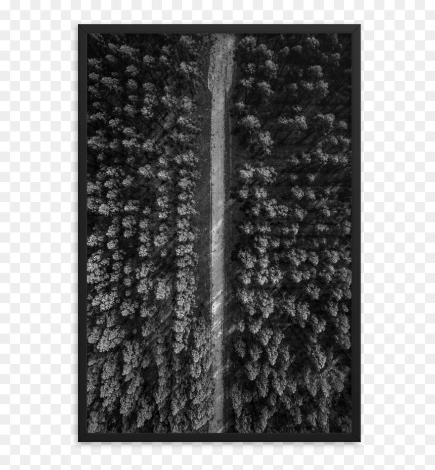 Motif, HD Png Download - trees from above png