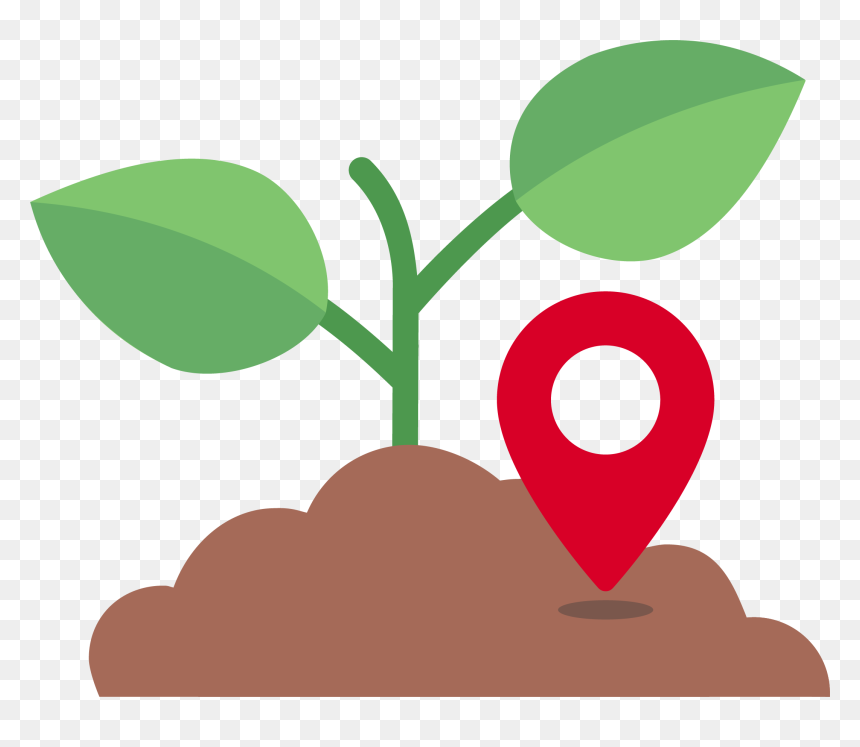 Planted By Image - Bears At The Packhouse, HD Png Download - trees from above png