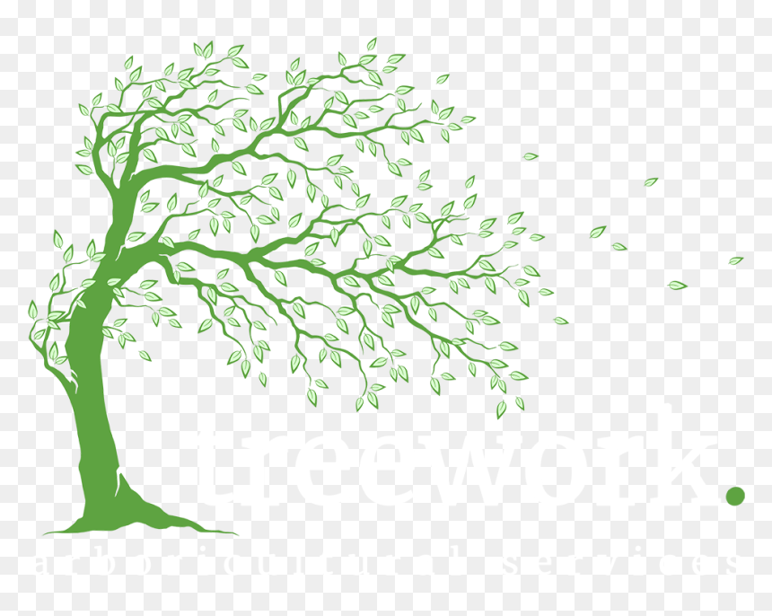 Arboricultural Services Treework Ltd - نقاشی درخت بهاری, HD Png Download - trees from above png