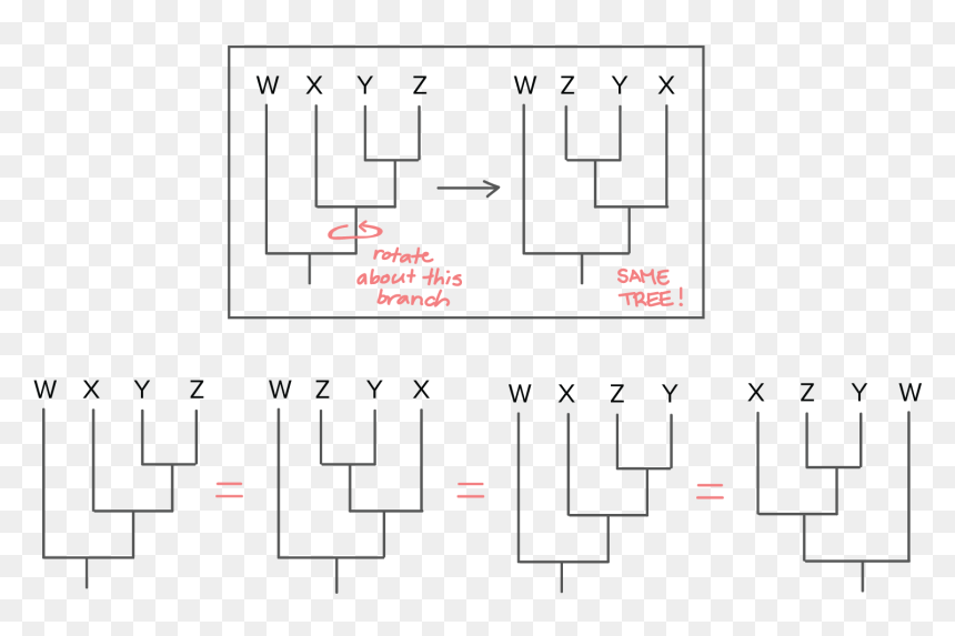 Diagram, HD Png Download - trees from above png