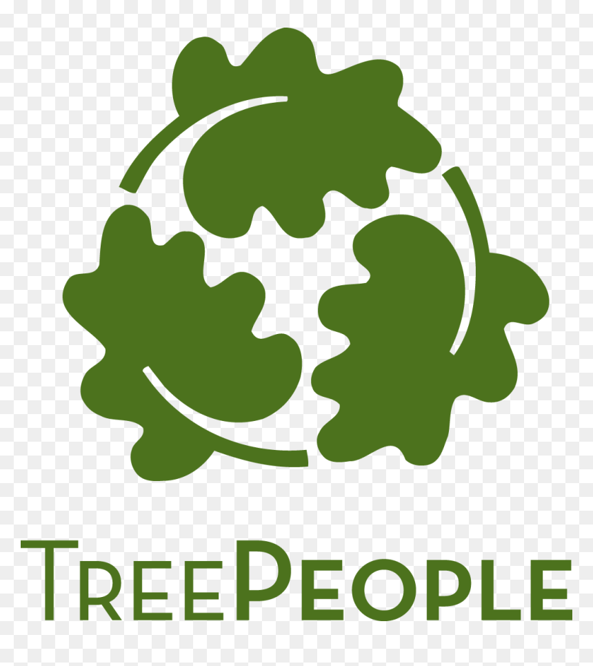 Tree People Organization, HD Png Download - trees from above png