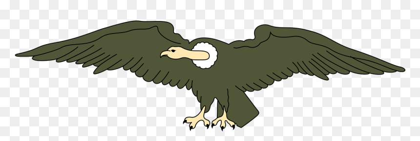 Andean Condor Clipart, HD Png Download - condor png