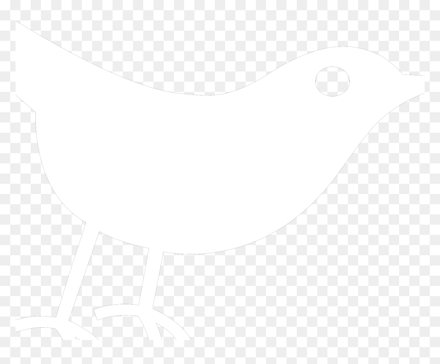 Old World Flycatcher, HD Png Download - twitter bird white png