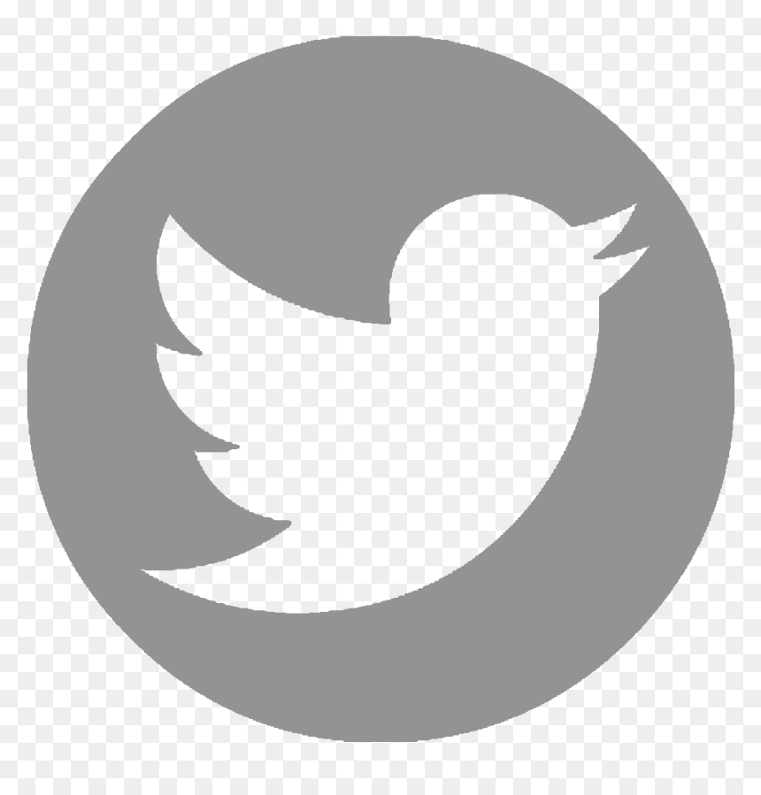 Fabrica De Empresas - Gwanghwamun Gate, HD Png Download - twitter bird white png
