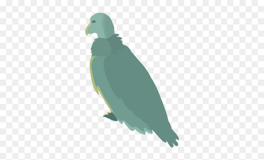 Parrot, HD Png Download - condor png