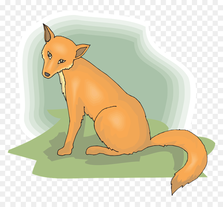 Fox, HD Png Download - fox tail png