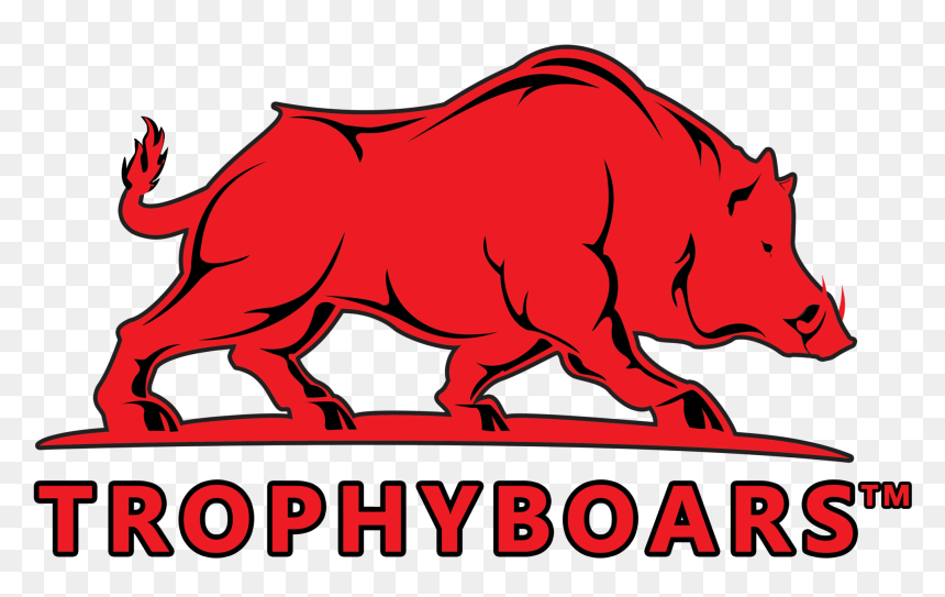 Designed By Out Of The Sandbox , Png Download, Transparent Png - sandbox png