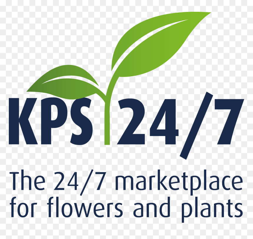 24 7 Png , Png Download - Graphic Design, Transparent Png - 7.png