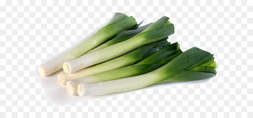 Leek, HD Png Download - porro png