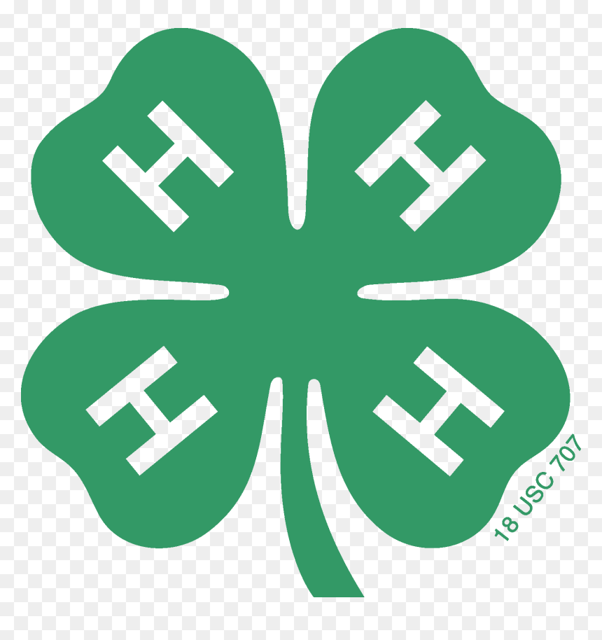 Logos & Graphics - 4 H Clover, HD Png Download - four png
