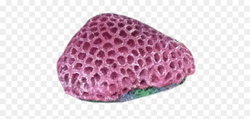 Thumb Image - Real Sea Coral Png, Transparent Png - sea coral png