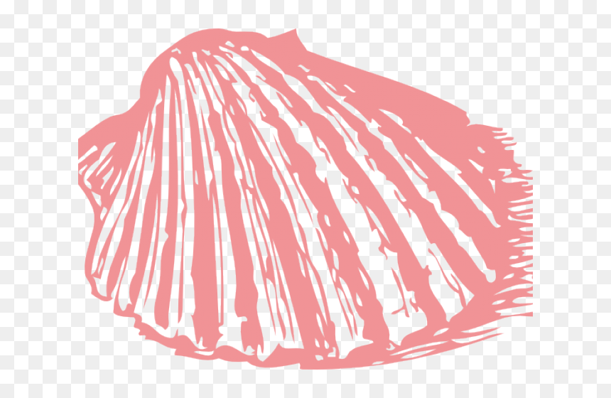 Transparent Sea Coral Png - Shell Clip Art, Png Download - sea coral png