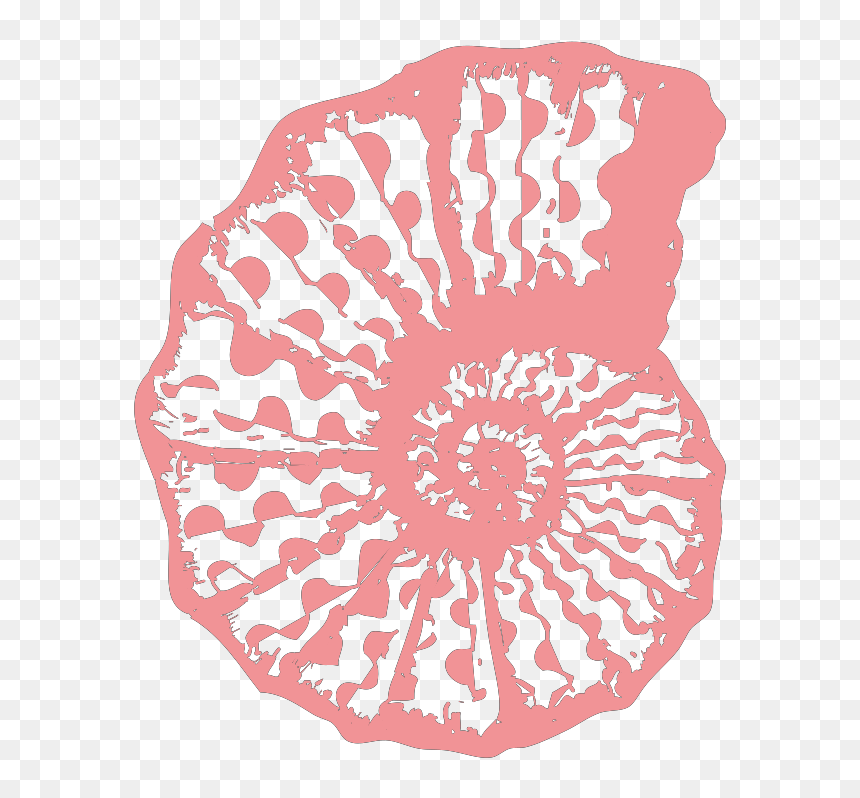 Clip Art, HD Png Download - sea coral png