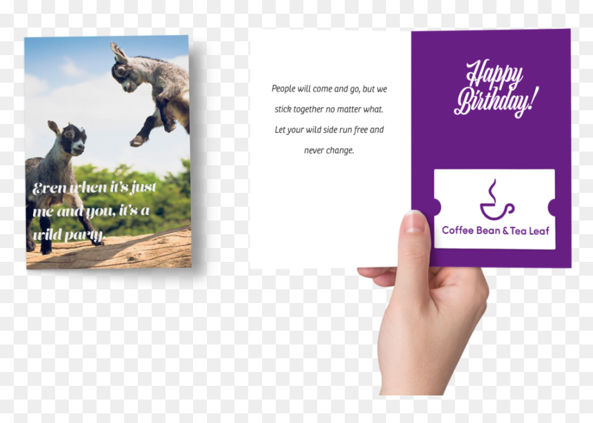 Birthday Greeting Card - Graphic Design, HD Png Download - greeting card png