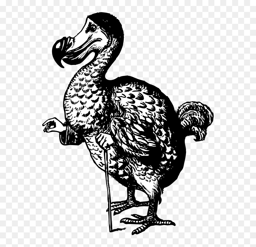 Alice's Adventures In Wonderland Dodo, HD Png Download - dodo png