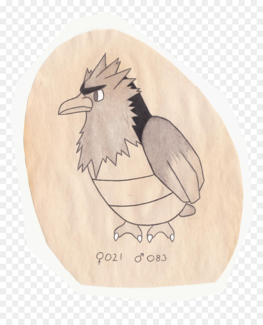 Tiny Bird Pokemon - Illustration, HD Png Download - spearow png