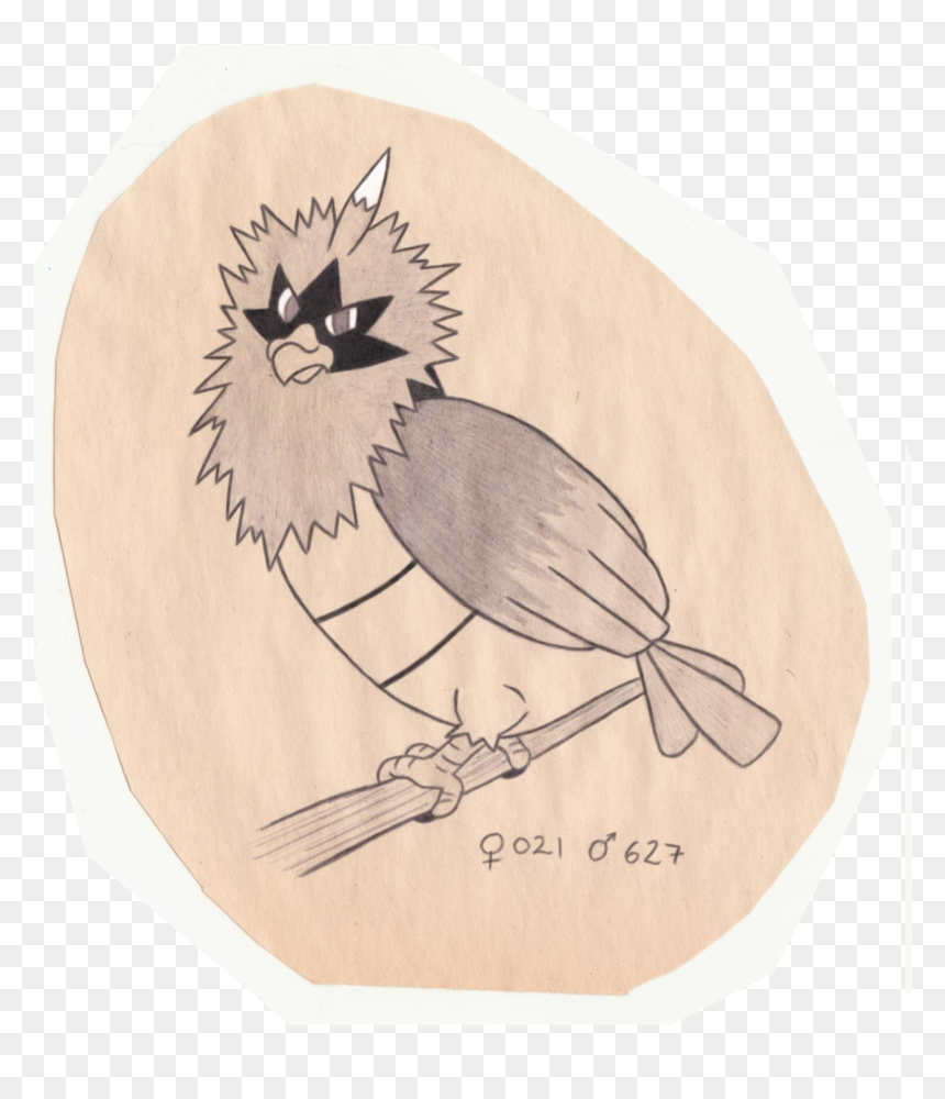Old World Flycatcher, HD Png Download - spearow png