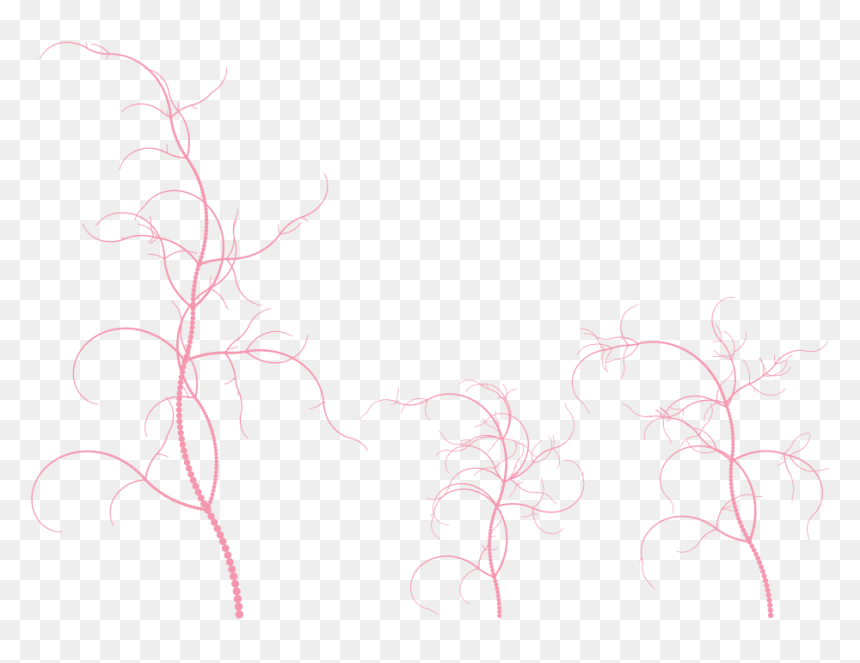 Sketch, HD Png Download - architecture tree png