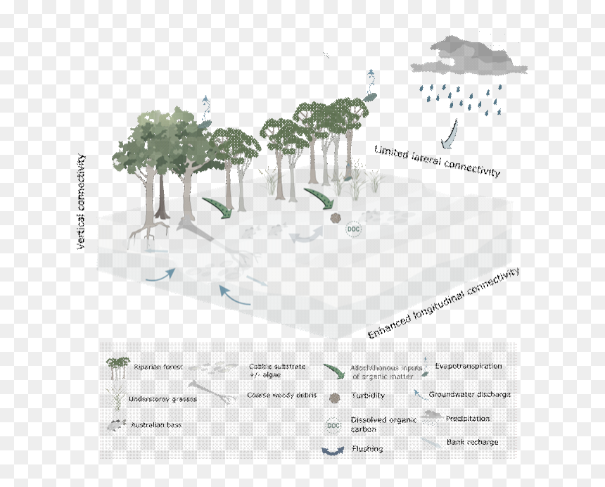 Figure 35 Conceptual Model Of Streams During Periods - Café Azaleaa, HD Png Download - architecture tree png